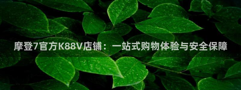 狗子28游戏账号注册