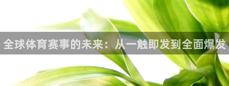 狗子28下载