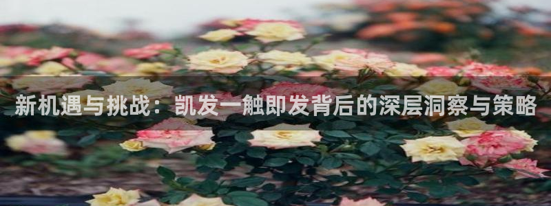 狗子28
