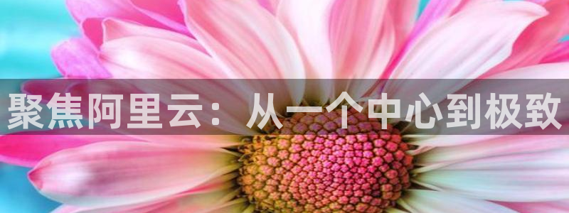 狗子28手机版