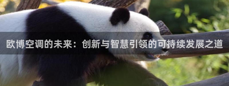 狗子28圈.ccmpc29官网版下载