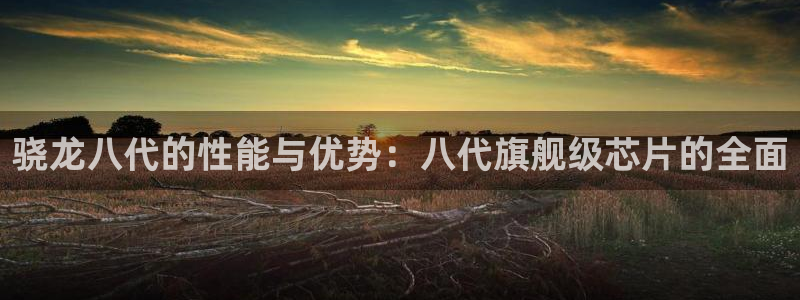 狗子28圈.ccmpc29官网版下载