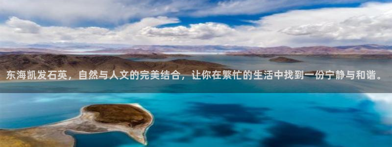 狗子28创意平台