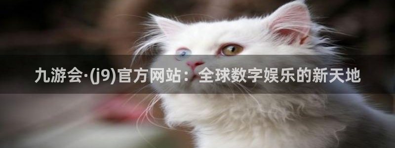 狗子28平台电子游戏