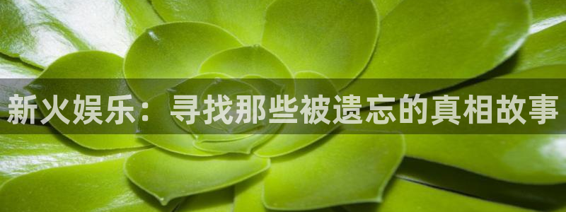 狗子28电子游戏