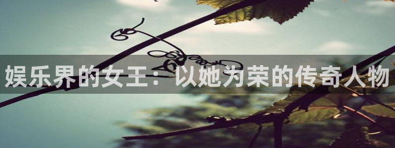 狗子28老款
