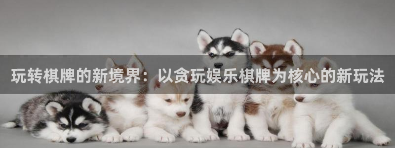 狗子28游戏网页版入口