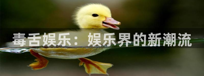 狗子28模拟器：毒舌娱乐：娱乐界的新潮流