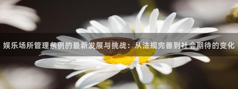 狗子28pg下载：娱乐场所管理条例的最新发展与挑战：从法规完善到社会期待的变化