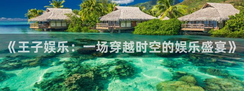狗子28模拟器下载安装：《王子娱乐：一场穿越时空的娱乐盛宴》