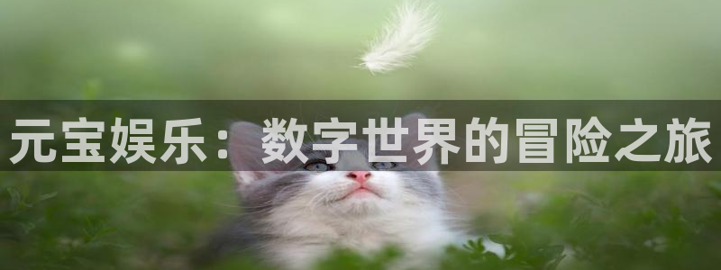 狗子28官方下载链接：元宝娱乐：数字世界的冒险之旅