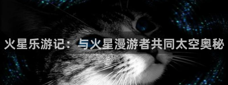 狗子28手机版：火星乐游记：与火星漫游者共同太空奥秘