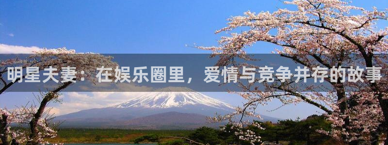 狗子28pg电子游戏：明星夫妻：在娱乐圈里，爱情与竞争并存的故事