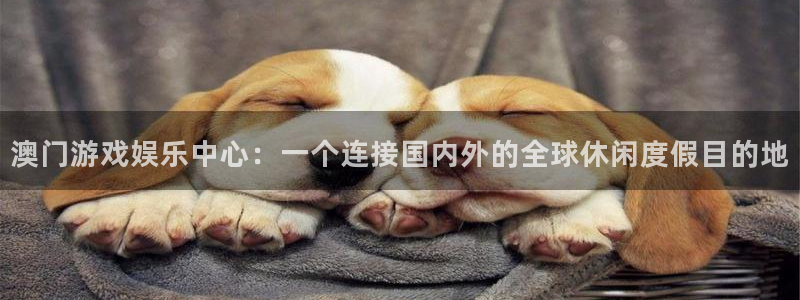 狗子28官网：澳门游戏娱乐中心：一个连接国内外的全球休闲度假目的地