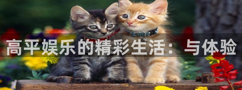 狗子28pg正版官网入口：高平娱乐的精彩生活：与体验