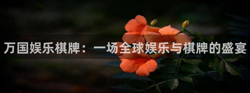 狗子28注册平台入口：万国娱乐棋牌：一场全球娱乐与棋牌的盛宴