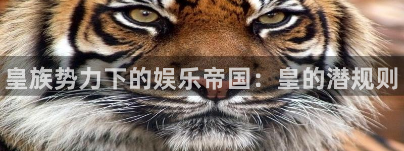 狗子28注册登录链接入口：皇族势力下的娱乐帝国：皇的潜规则
