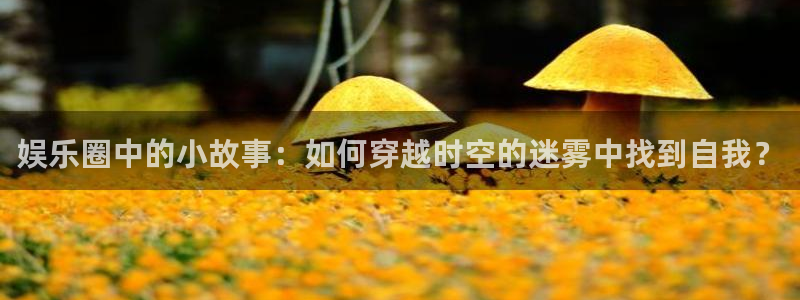 狗子28棋牌软件特色：娱乐圈中的小故事：如何穿越时空的迷雾中找到自我？