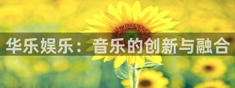 狗子28免费下载：华乐娱乐：音乐的创新与融合