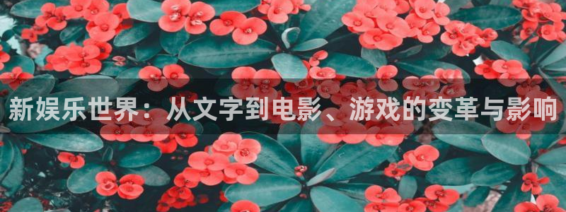 狗子28.ccmpc29：新娱乐世界：从文字到电影、游戏的变革与影响