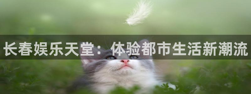 狗子28游戏官网入口注册：长春娱乐天堂：体验都市生活新潮流