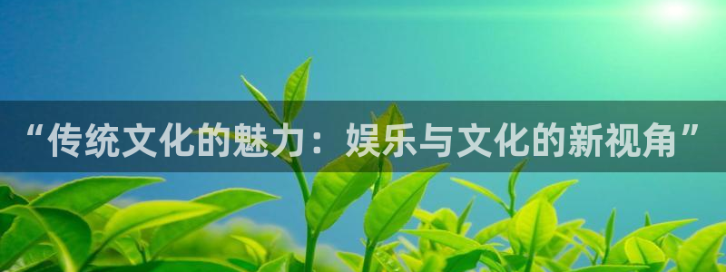 狗子28链接：“传统文化的魅力：娱乐与文化的新视角”