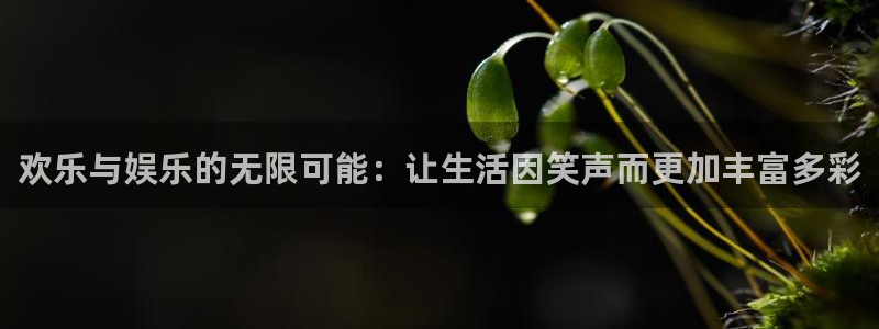 狗子28平台：欢乐与娱乐的无限可能：让生活因笑声而更加丰富多彩