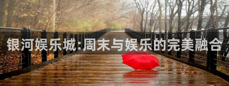 狗子28pg下载：银河娱乐城:周末与娱乐的完美融合