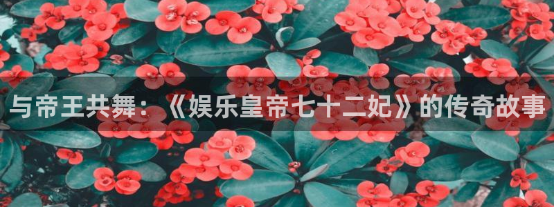狗子28扶持金：与帝王共舞：《娱乐皇帝七十二妃》的传奇故事